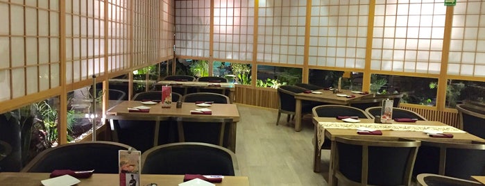 Daikoku is one of Best Japanese in Mexico.