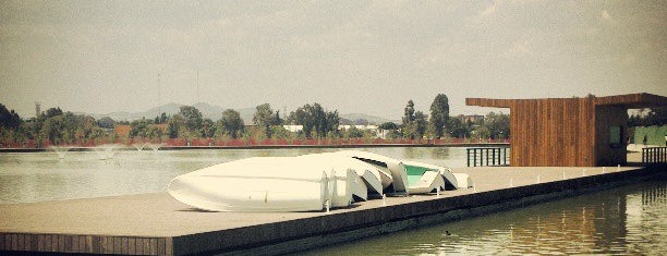 Lago Parque Bicentenario is one of Orte, die Mayte gefallen.