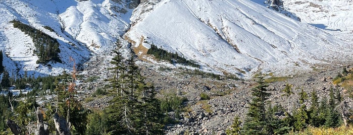 Mount Rainier National Park is one of Bucket List.