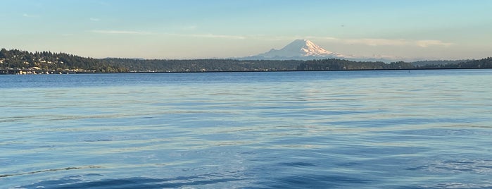 Madrona Beach is one of Seattle’s Swimming Holes.