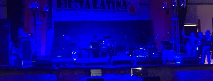Fiesta Latina is one of party.