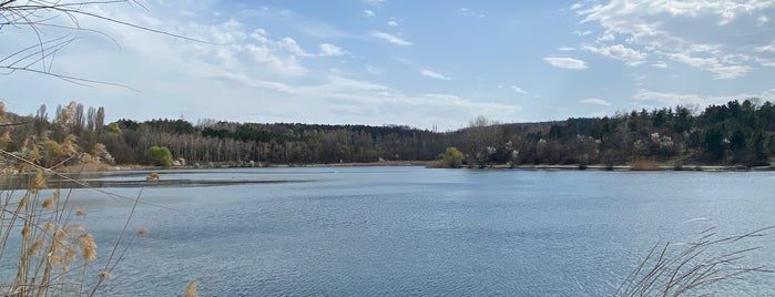 Lacul din Muzeul Satului is one of Кишинёв.