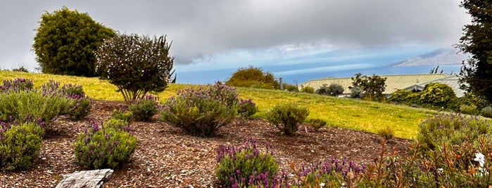 Lavender Farm is one of Maui 2014.