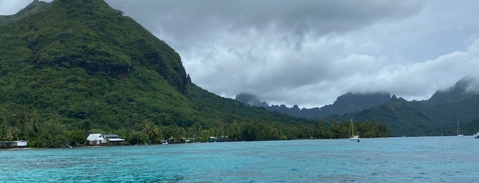 'Ōpūnohu Bay is one of Posti che sono piaciuti a Eduardo.