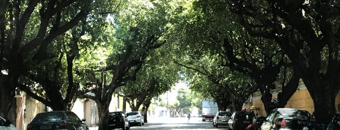 Avenida Ramos Ferreira is one of Avenidas e Ruas de Manaus.