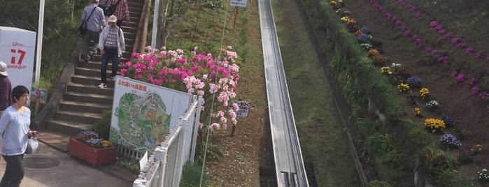 Flower Park Ibaraki is one of 茨城.
