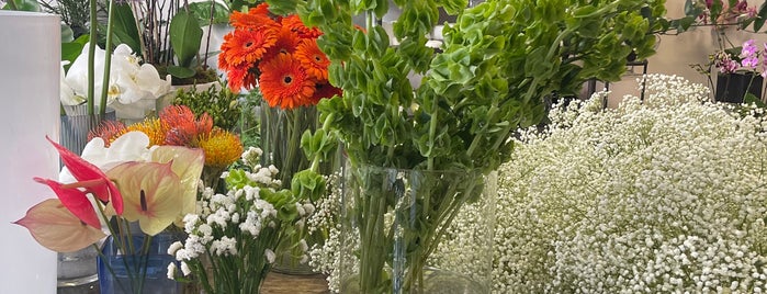 Edelweiss is one of The 15 Best Places for Bouquets in Brooklyn.