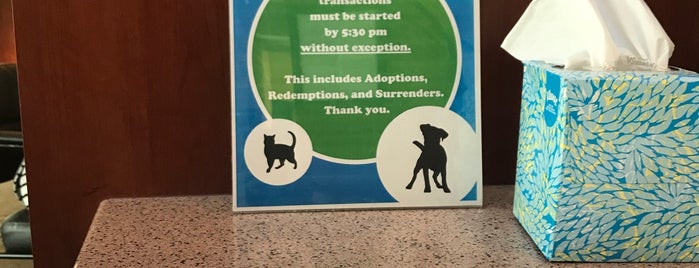 Seattle Animal Shelter is one of สถานที่ที่ Bill ถูกใจ.