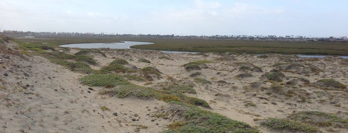 Tijuana River National Estuarine Research Reserve is one of date places.