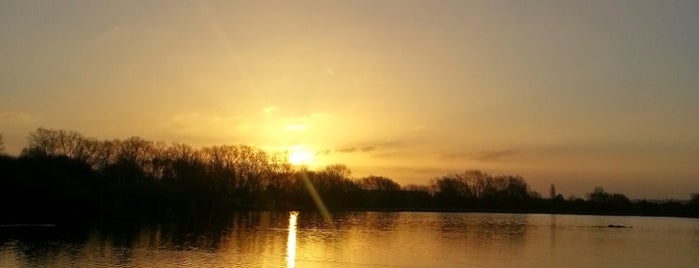Colwick Country Park is one of Nottingham.