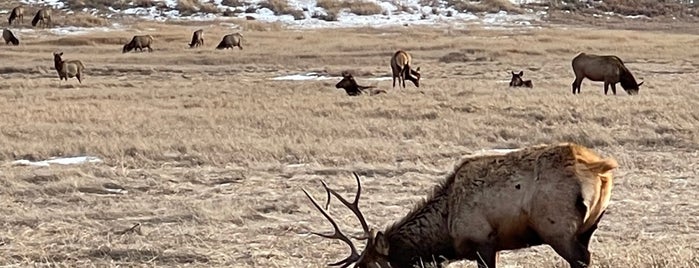National Elk Refuge is one of Roadtrip.