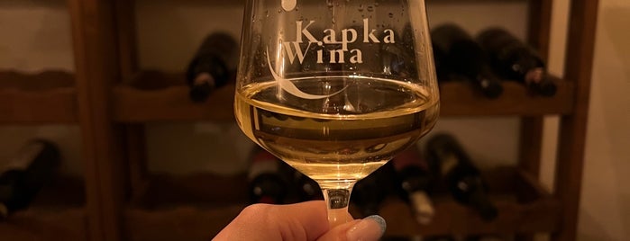 Kapka Wina Wrocław - Wine Bar & Shop is one of Wroclaw.