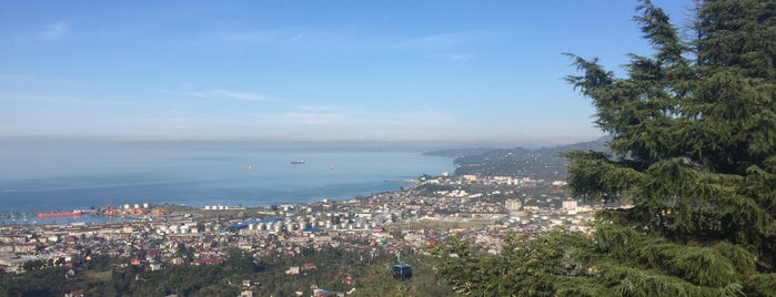 Batumi Observation Deck | ბათუმის დაკვირვების ბაქანი is one of 🇬🇪.