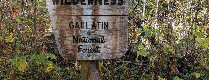 Gallatin National Forest is one of Tempat yang Disukai Carl.