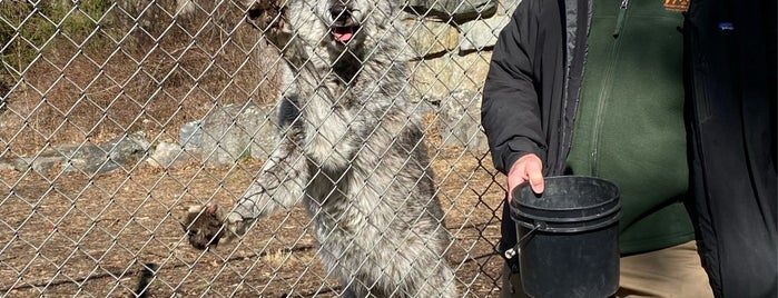 Wolf Conservation Center is one of Westchester.