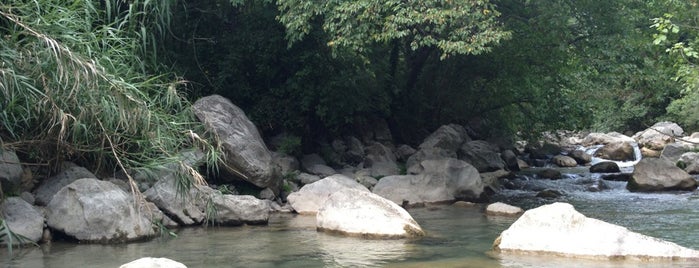 Gorges du Loup is one of Tempat yang Disukai Cindy.