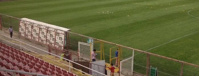 Estadio Municipal de San Felipe is one of Estadios.