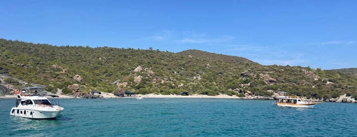 Taşada Koyu is one of Beach.