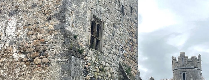 Howth Castle is one of Castles Around the World.
