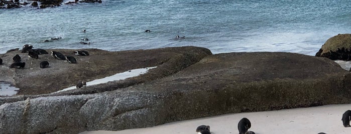 Boulders Beach Penguin Colony is one of Lieux qui ont plu à Rawan.