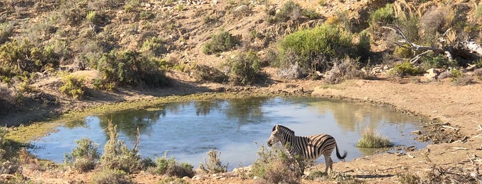 Sanbona Game Reserve is one of Capetown.