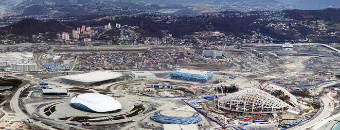 Sochi-2014: The Reverse Side of the Medal