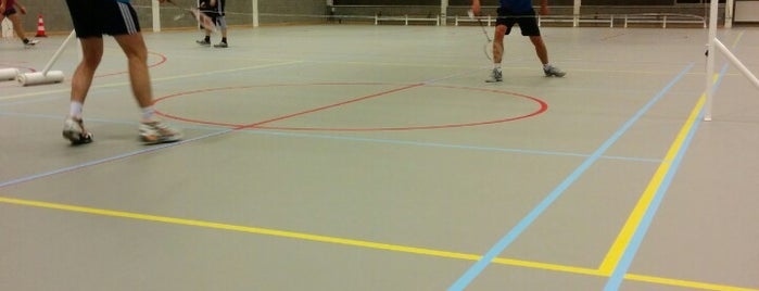 Sportschuur is one of Badminton Arena's.