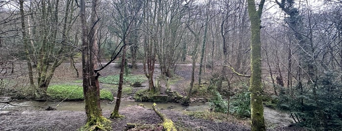 Meanwood Park is one of Leeds.
