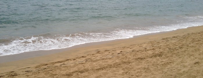 La Playa De Rincón is one of Tempat yang Disukai José Javier.