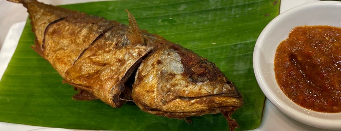 Meng Meng Roasted Duck 阿明帝皇鸭 is one of JB.