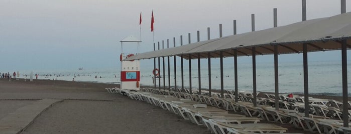 soho beach clup alacarte sahil is one of Conseil de David.