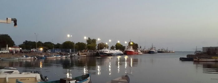 Яхтено пристанище Несебър (Nessebar Yacht Port) is one of David 님의 팁.