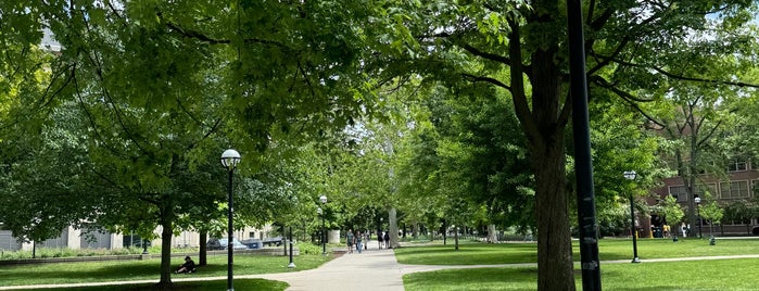 University of Michigan Diag is one of Ann arbor.