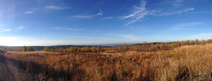 Lieux qui ont plu à Jan