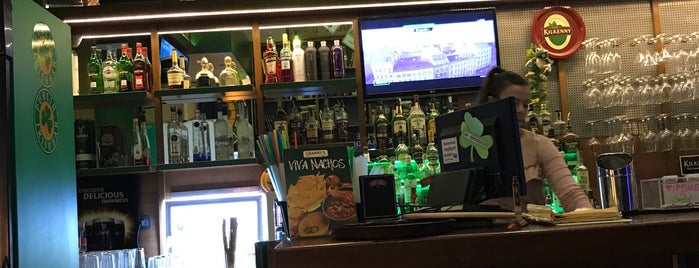 Publin Irish Pub & Restaurant is one of สถานที่ที่ Claudio ถูกใจ.