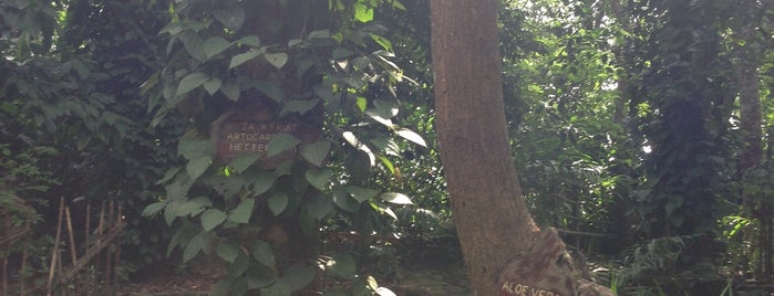 Ranweli Spice Garden is one of Sri-Lanka.