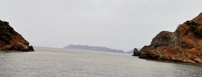 Yassıca Adaları is one of Logbook dgtal v2.