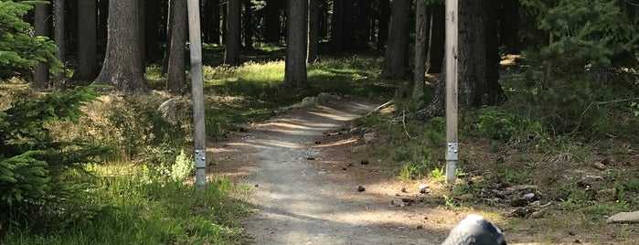 Bikepark Lipno is one of MTB v Česku.