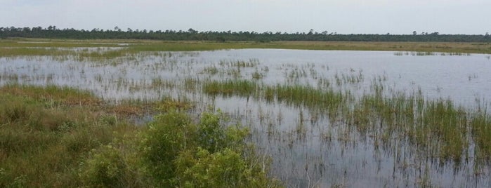 Buck Lake Conservation Area is one of Orlando.