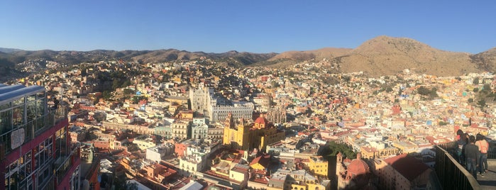 Guanajuato Beer