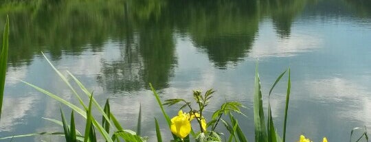 Brunskappel Stausee Nordseite Negertal is one of New Edit List.