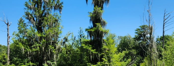 Phinizy Swamp Nature Park is one of Statesboro.