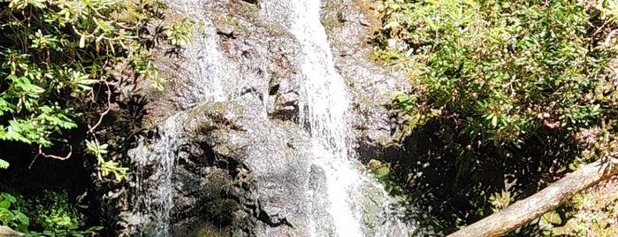 Cataract Falls is one of Gatlinburg.