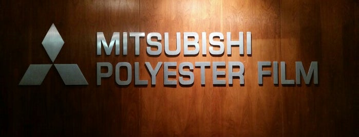 Mitsubishi Polyester Film Inc is one of Been there done that.