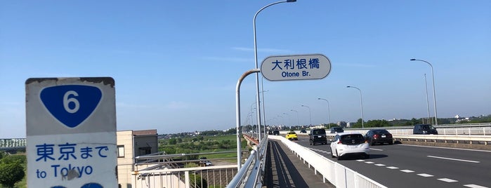 大利根橋 is one of 渡った橋（東日本）.
