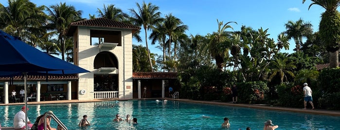 Biltmore Pool is one of anything but art basel.