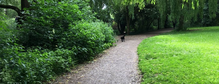 Knighton park is one of Leicester.