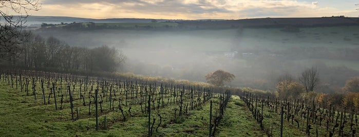 Camel Valley Vineyard is one of Things to do in Cornwall.