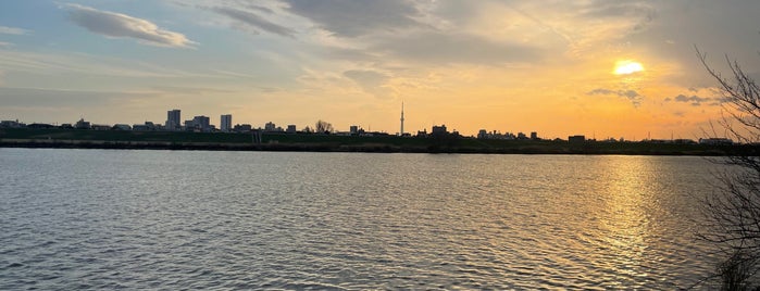 里見公園 is one of 好きな千葉県の公園(Favorite Chiba's Park).