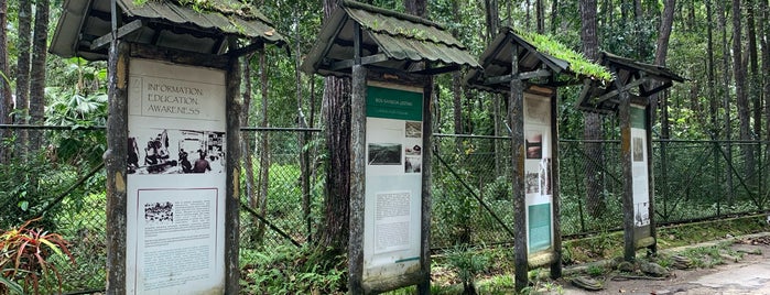 Borneo Orangutan Survival Foundation is one of RizaL 님이 좋아한 장소.